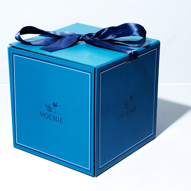 Blue Ribbon Mama Bundle Box – Cami Monet